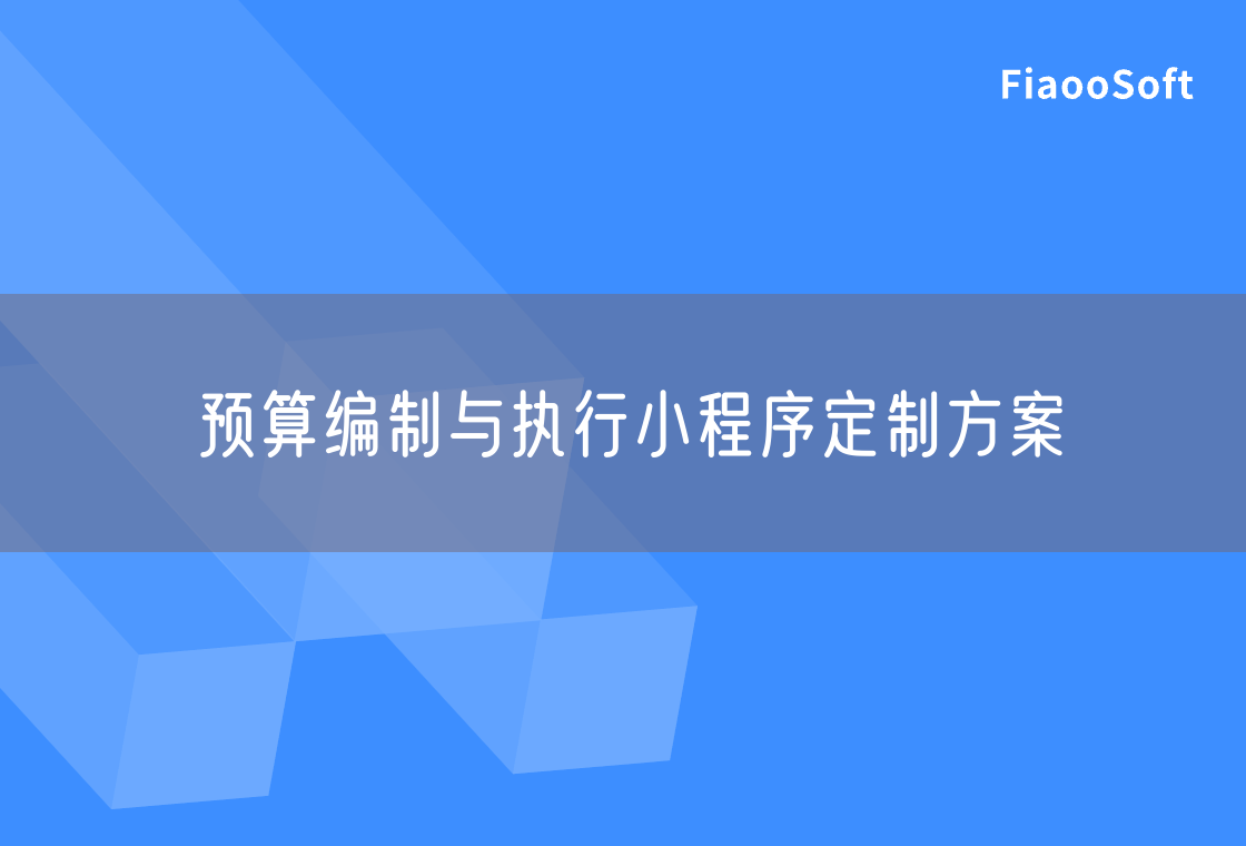 预算编制与执行小程序定制方案